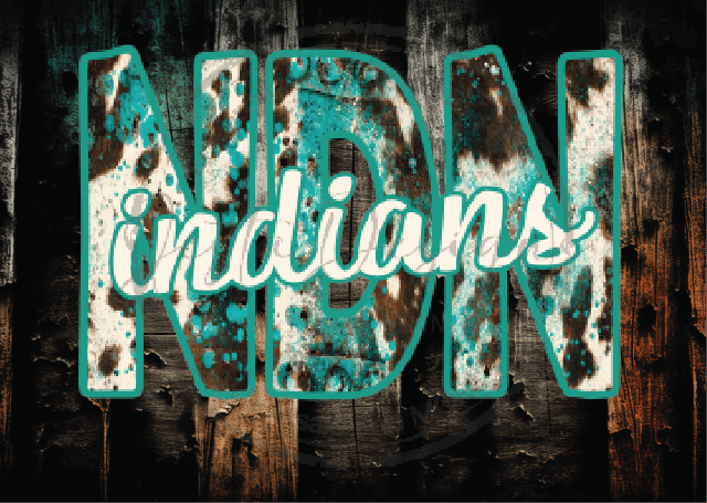 Cow Print and Turquoise Indians-ss I16DTF