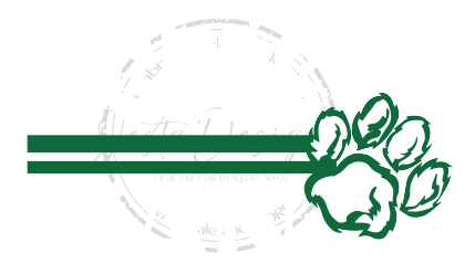 Tigers Fan-ssN03DTF