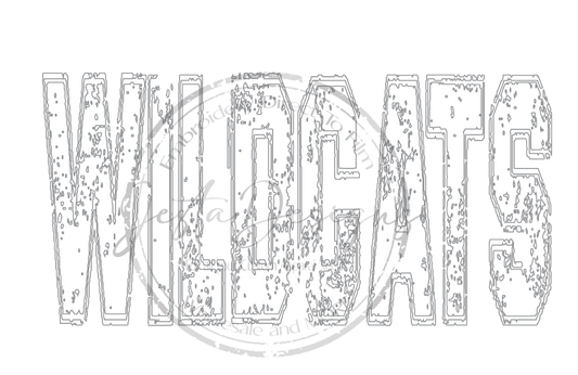 WILDCATS-ss W03DTF